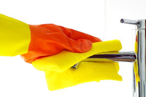 5-Sterne Reinigungs-Services, Diana Dragisic – Umzugsfirma Flaach – Foto 1
