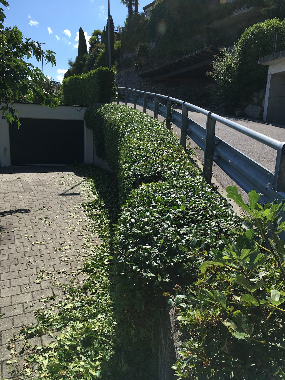 ANGELO CUSTODE in casa e giardino – Umzugsfirma Orselina – Foto 1