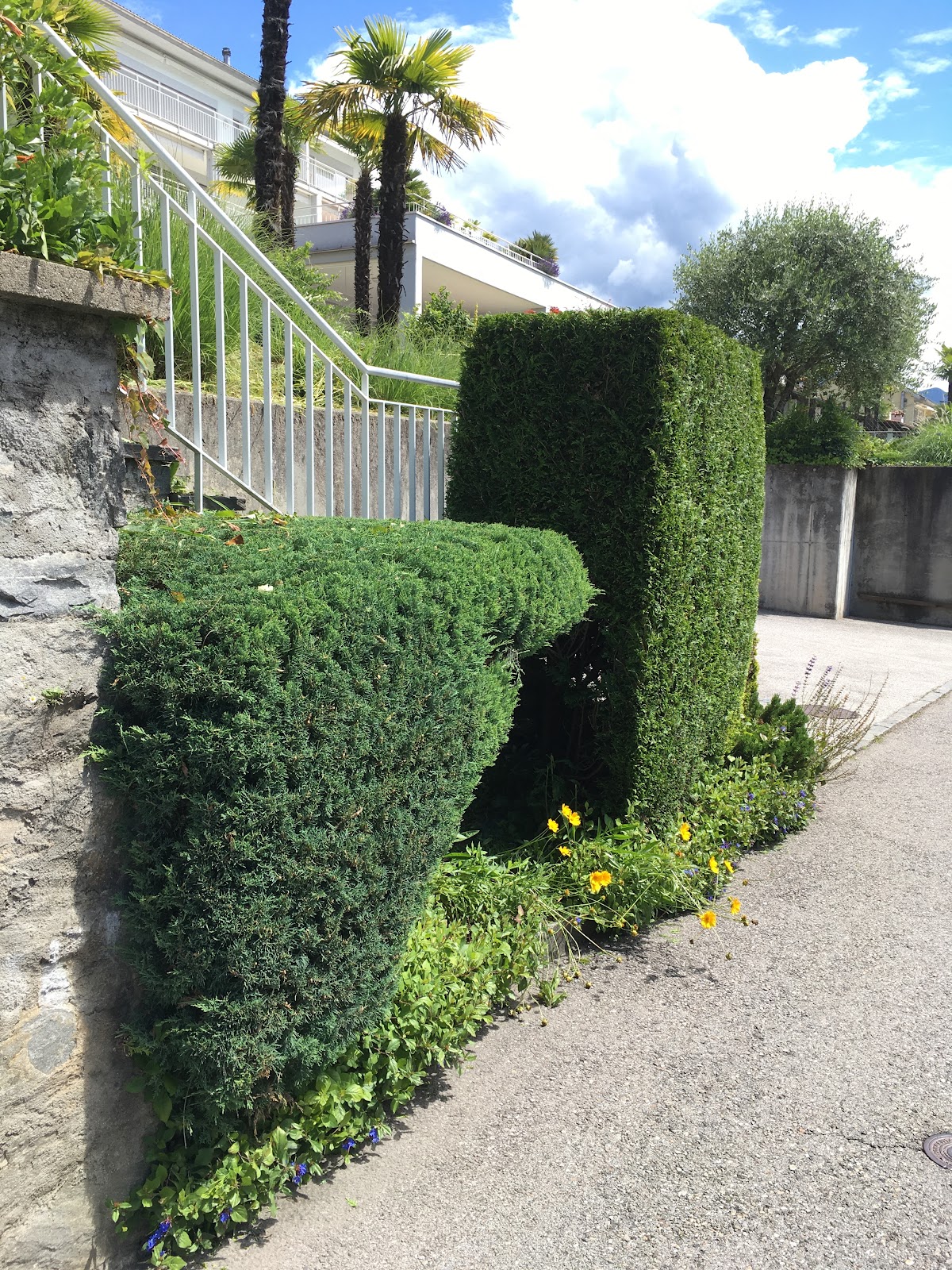 ANGELO CUSTODE in casa e giardino – Umzugsfirma Orselina – Foto 2