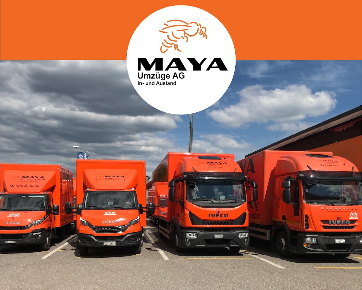 BIENE MAYA UMZÜGE | Möbellift, Räumungen, Lagerung, Klaviertransporte Titelbild