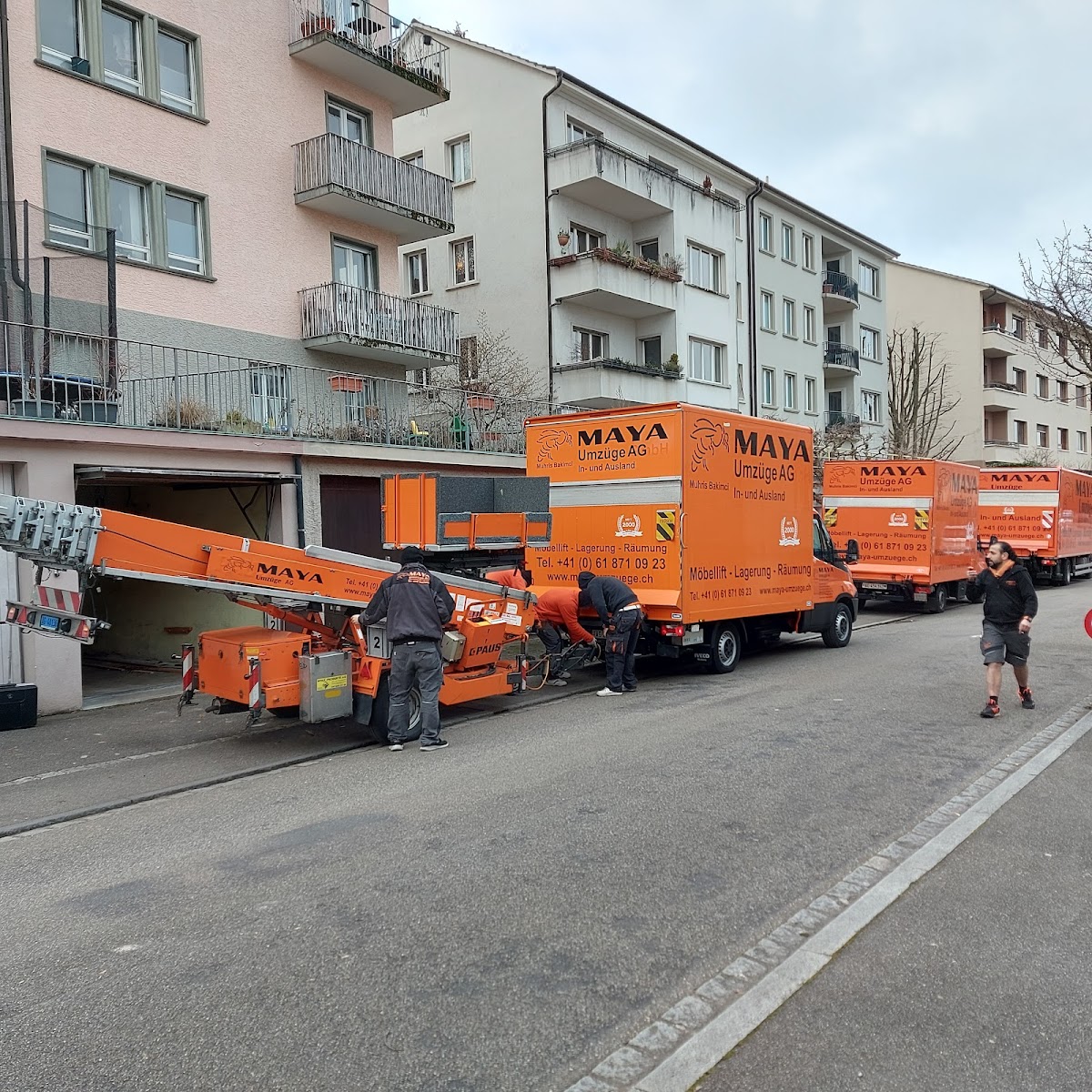 BIENE MAYA UMZÜGE | Möbellift, Räumungen, Lagerung, Klaviertransporte – Umzugsfirma Rheinfelden – Foto 2