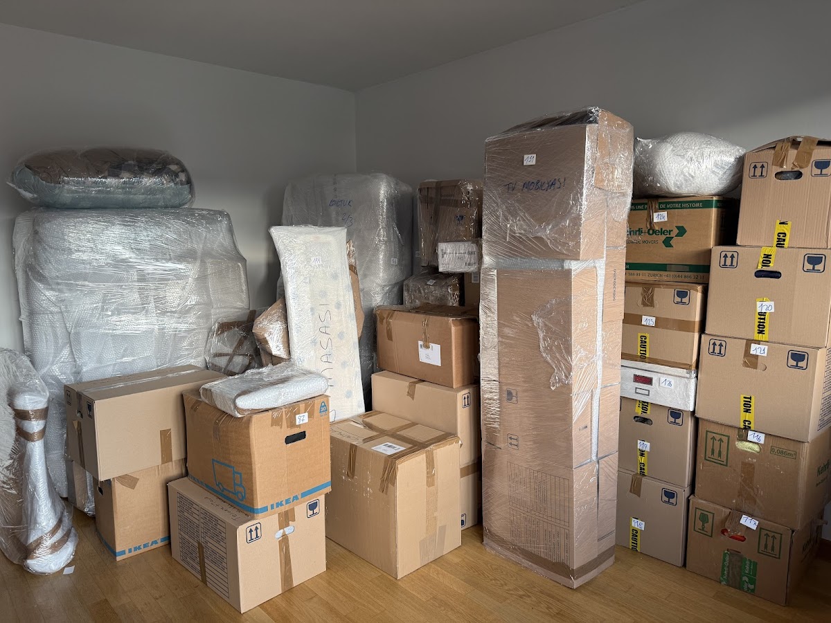 Blackbird International Movers & Karakus.ch Trasloco Internazionale – Umzugsfirma Lugano – Foto 1