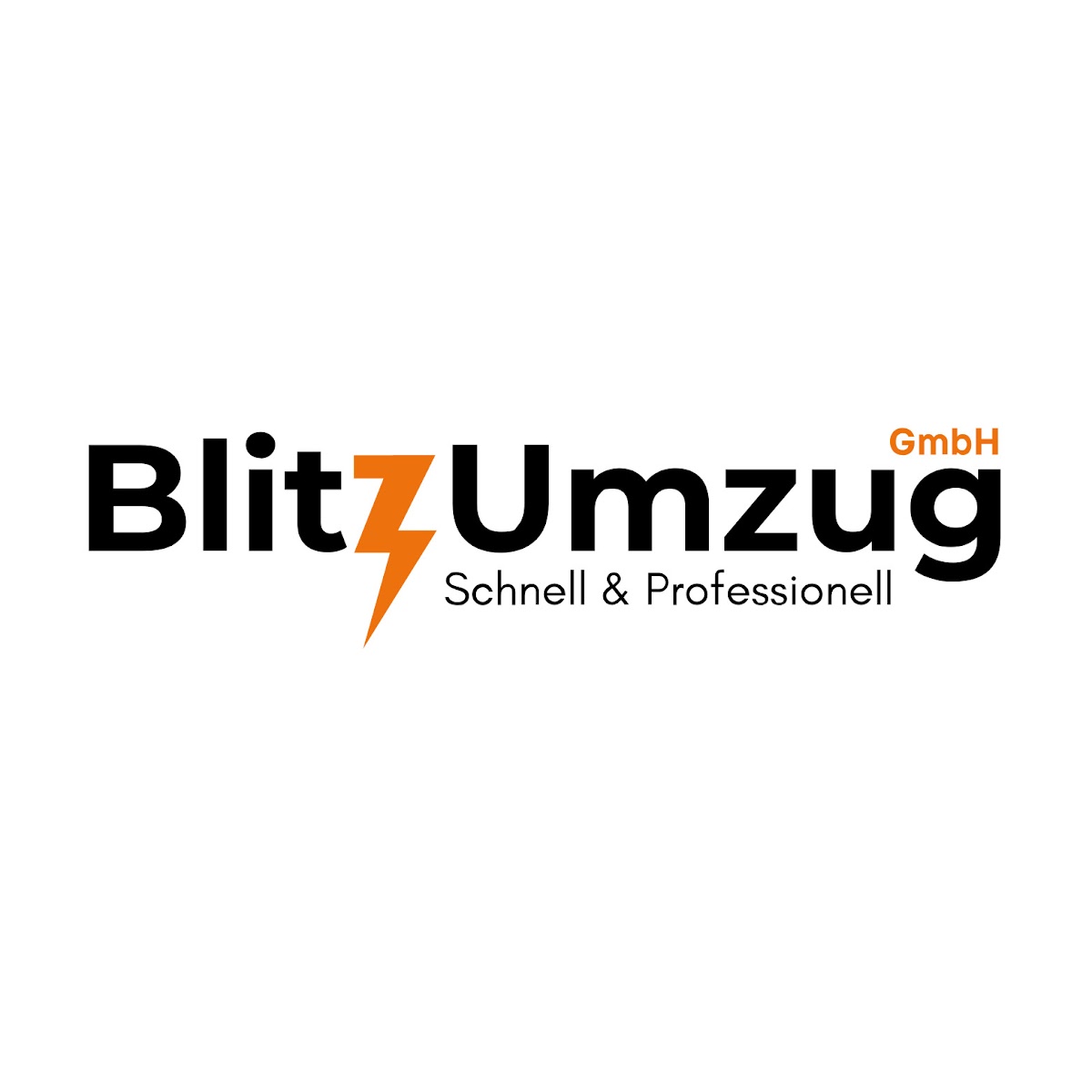 BlitzUmzug GmbH – Umzugsfirma Jegenstorf – Foto 2