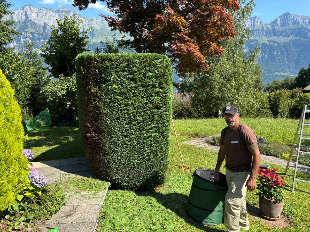 CardinGmbH/ Transport/Hauswart/Werkstatt – Umzugsfirma Sargans – Foto 2