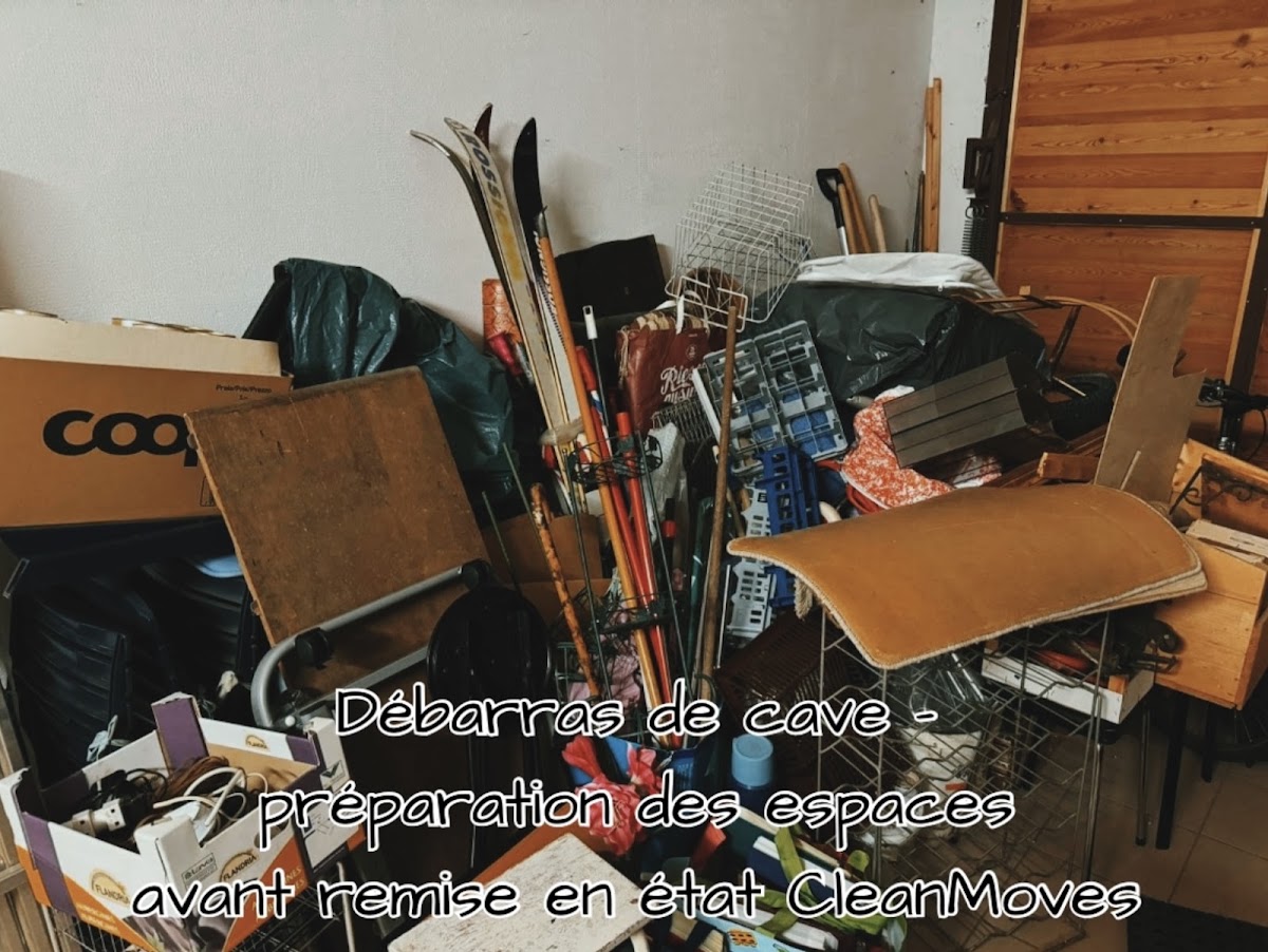 CleanMoves Titelbild
