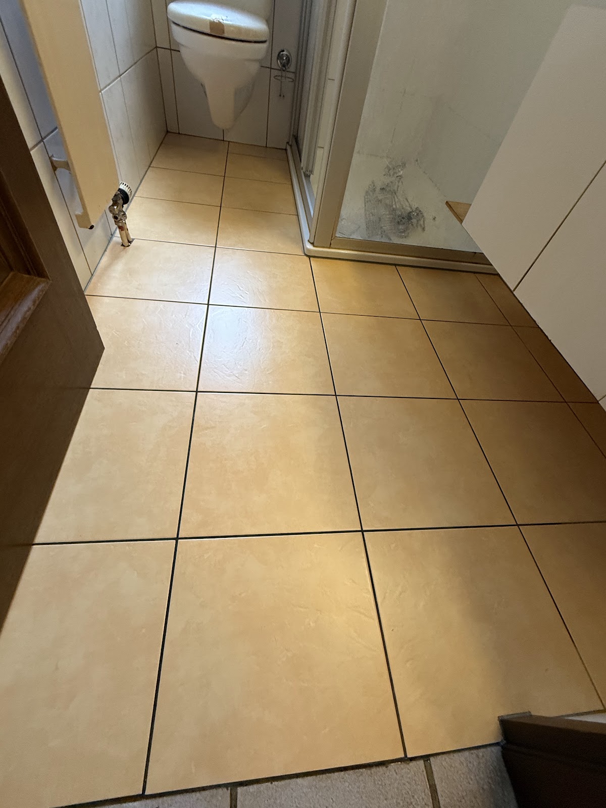 D&A Reinigungen-Umzüge GmbH – Umzugsfirma Schwyz – Foto 1