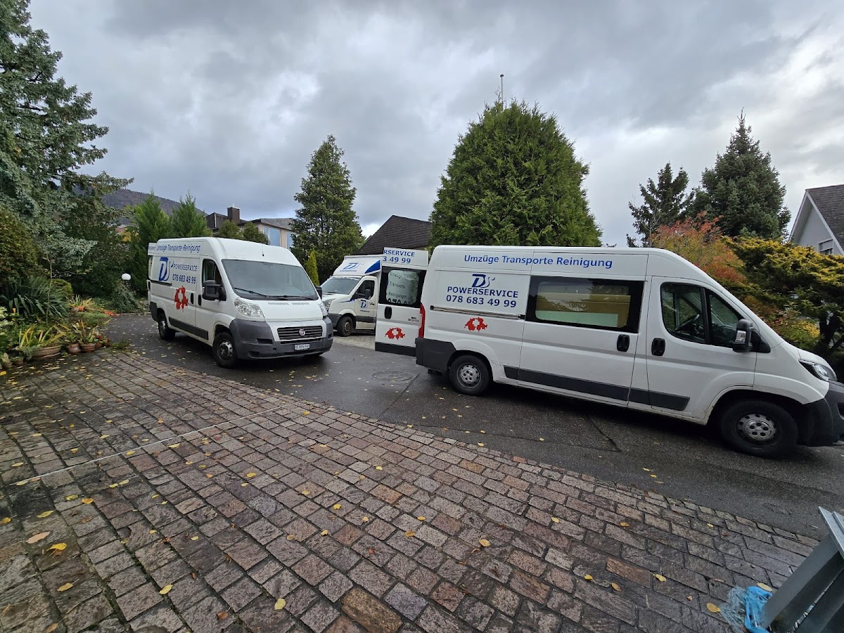 DS Powerservice - Reinigungen Umzug Transporte Titelbild