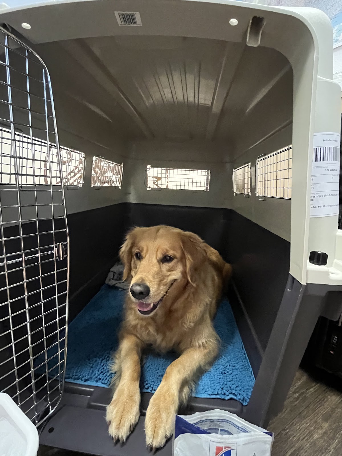 Global Pet Mover Switzerland – Umzugsfirma Genf – Foto 1
