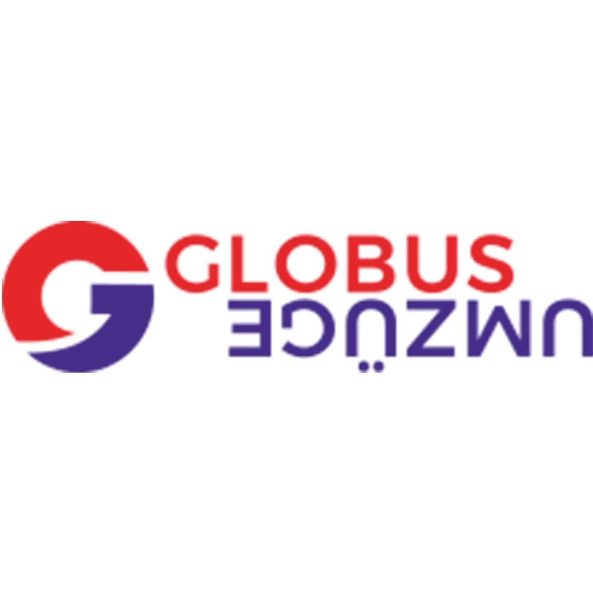 Globus Umzüge Titelbild