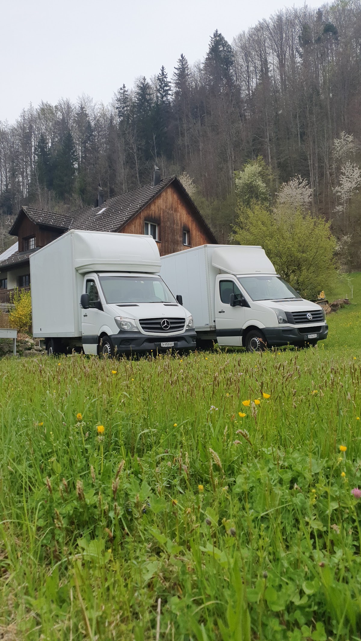 Havanna Transporte GmbH – Umzugsfirma Wetzikon – Foto 1