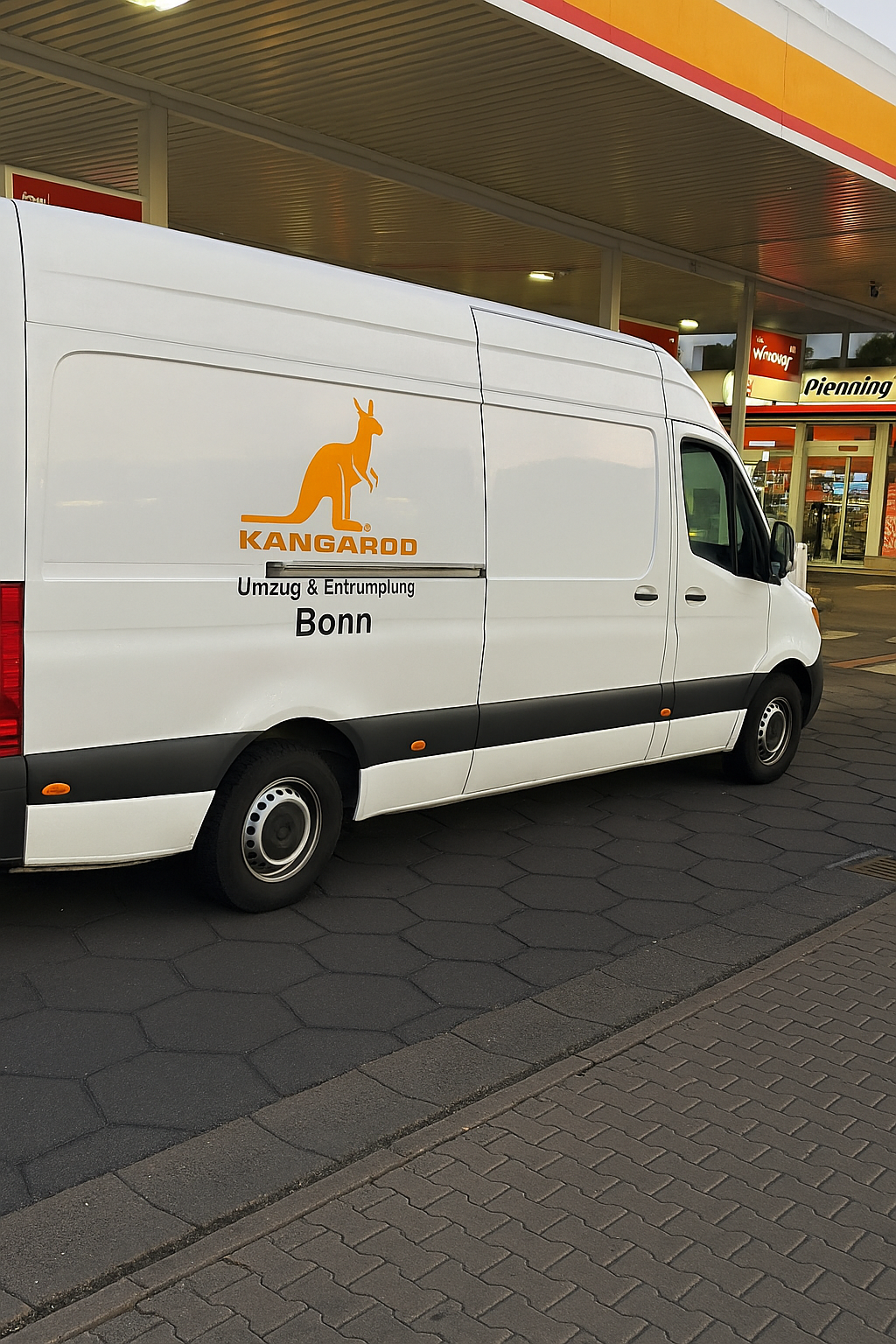 Kangaroo Umzug Titelbild