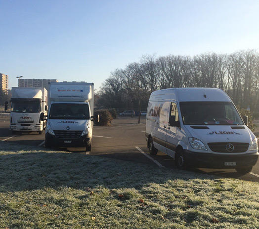 Lion Déménagements et Transports Sàrl – Umzugsfirma Chêne-Bougeries – Foto 1