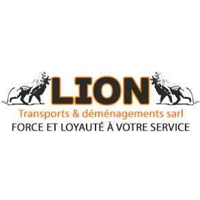 Lion Déménagements et Transports Sàrl – Umzugsfirma Chêne-Bougeries – Foto 2