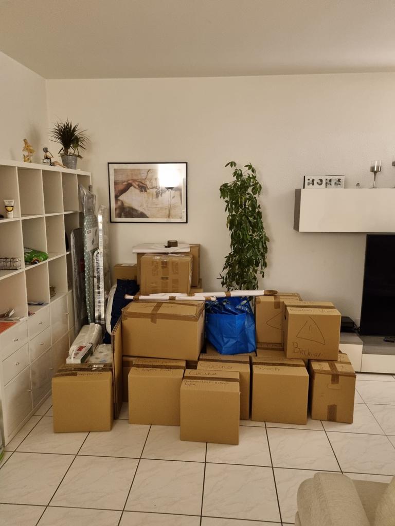 Milan Traslochi – Umzugsfirma Viganello – Foto 2