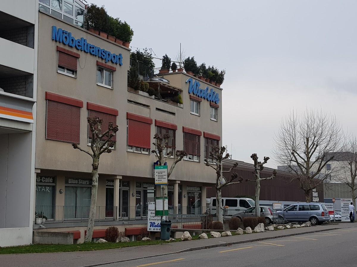 Möbeltransporte Waldis AG – Umzugsfirma Allschwil – Foto 1