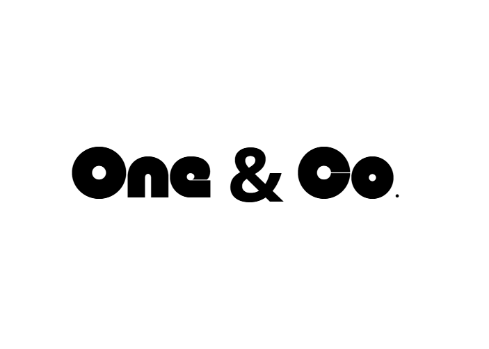 One & Co. déménagement – Umzugsfirma Nyon – Foto 1