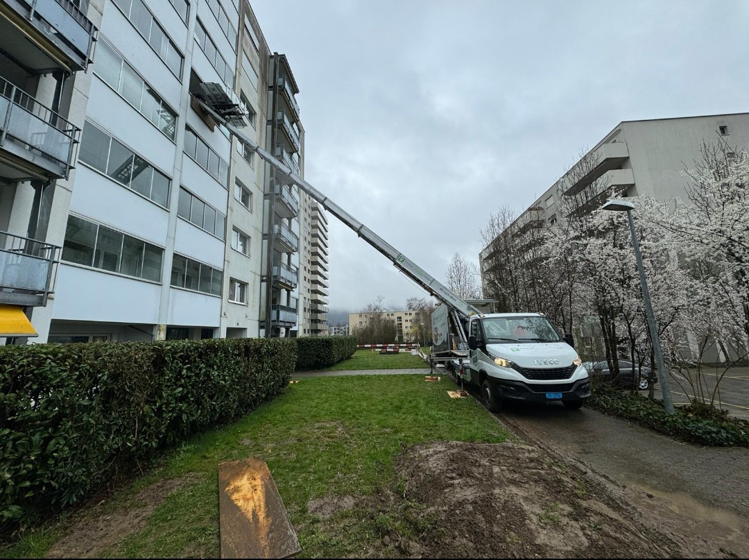 Optimum Group AG – Umzugsfirma Freienbach – Foto 1