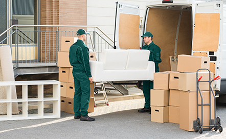 Perfect Transporte Deitingen – Umzugsfirma Deitingen – Foto 2