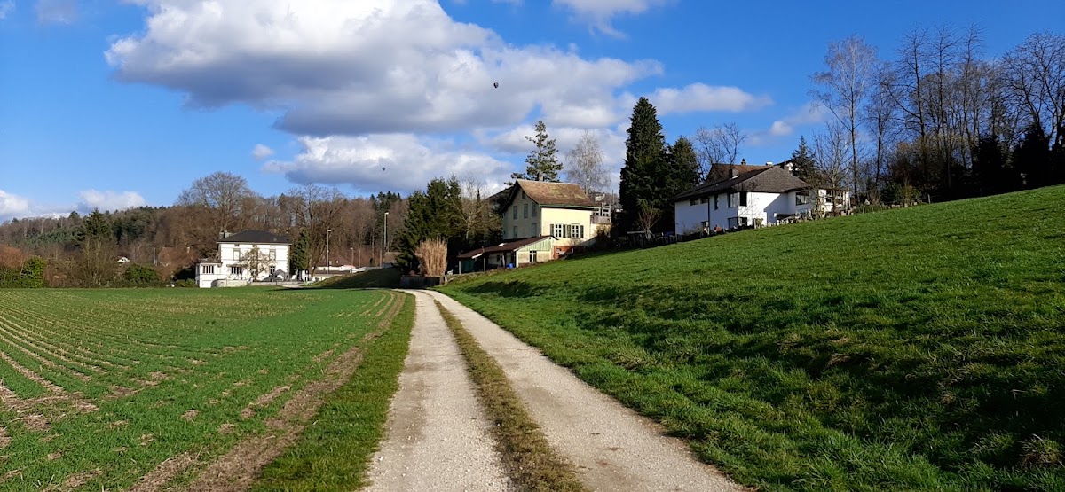 Perfect Transporte GmbH – Umzugsfirma Murgenthal – Foto 2