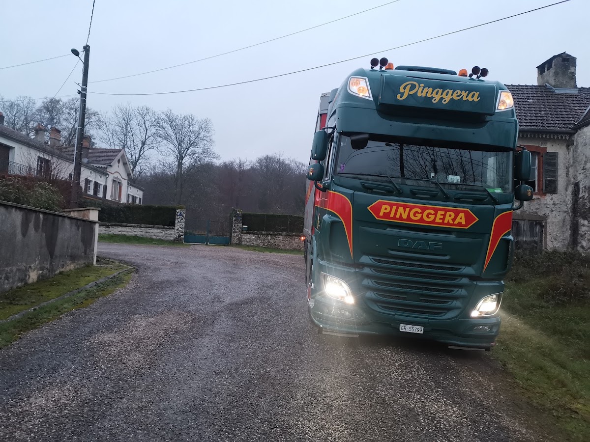 Pinggera Transporte AG – Umzugsfirma Bever – Foto 1