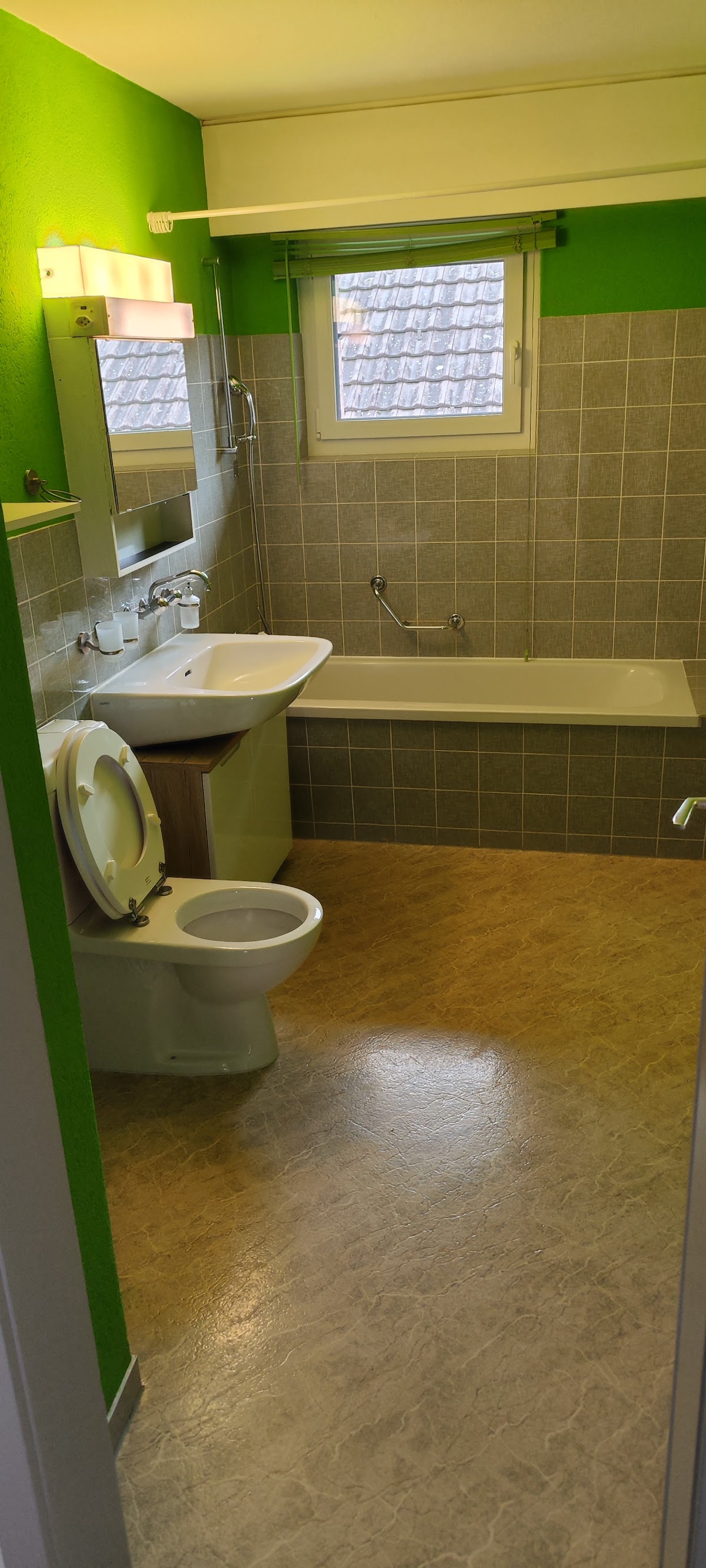 Reinigung Gonzalez Schaffhausen Neunkirch – Umzugsfirma Neunkirch – Foto 2