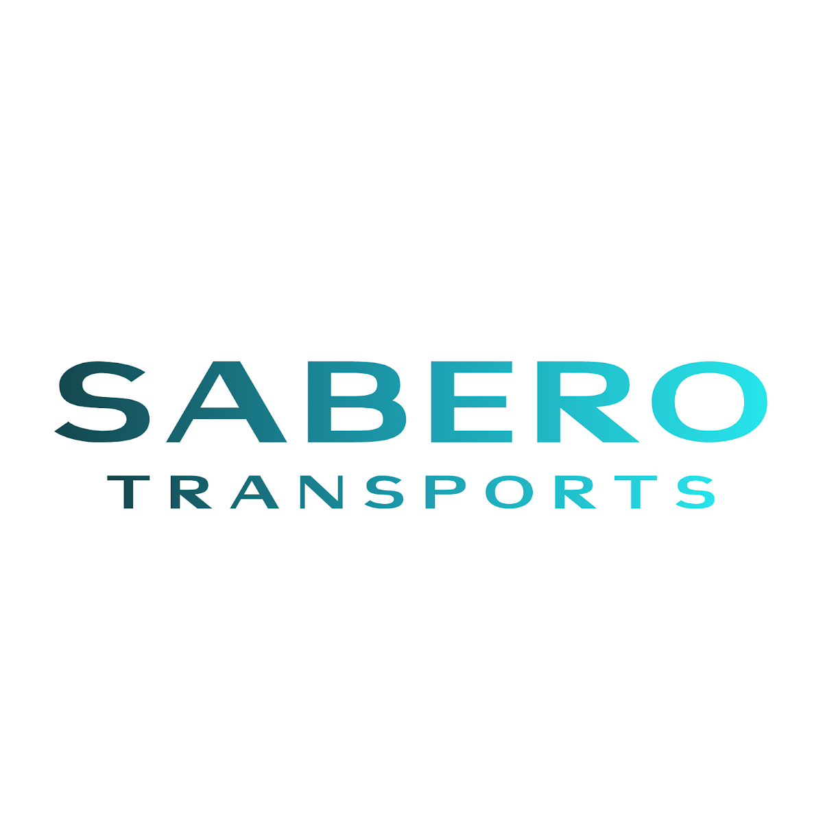Sabero Transports – Umzugsfirma Morges – Foto 1