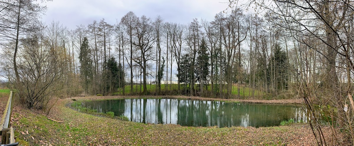 Service-Engel.ch GmbH – Umzugsfirma Egnach – Foto 1