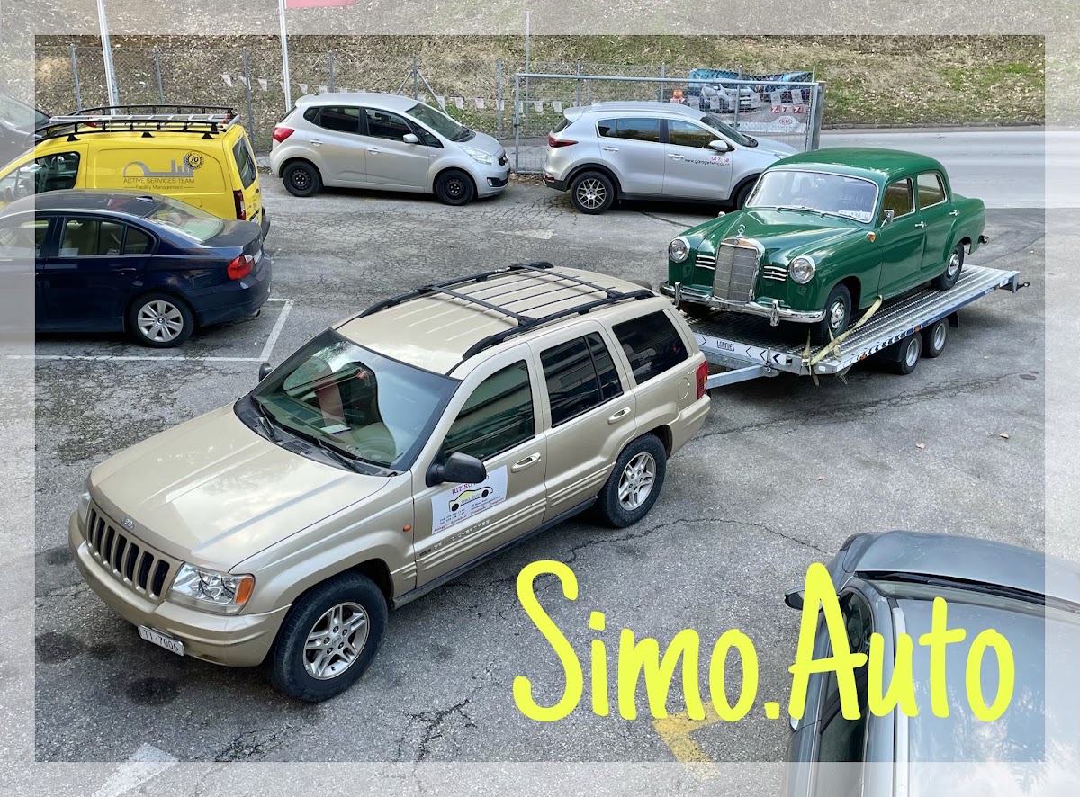 Simo.Auto – Umzugsfirma Bellinzona – Foto 1