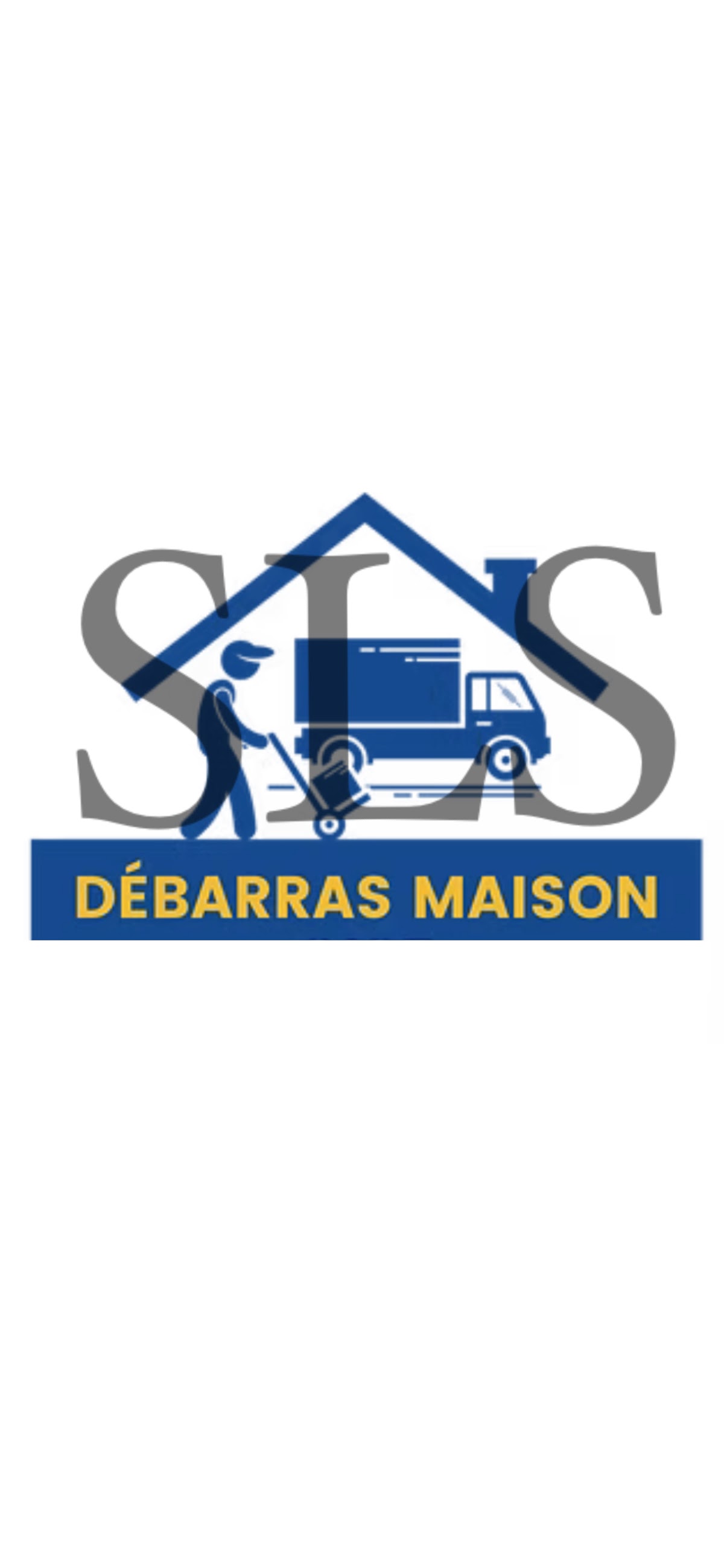 Sls_clean – Umzugsfirma Saxon – Foto 2