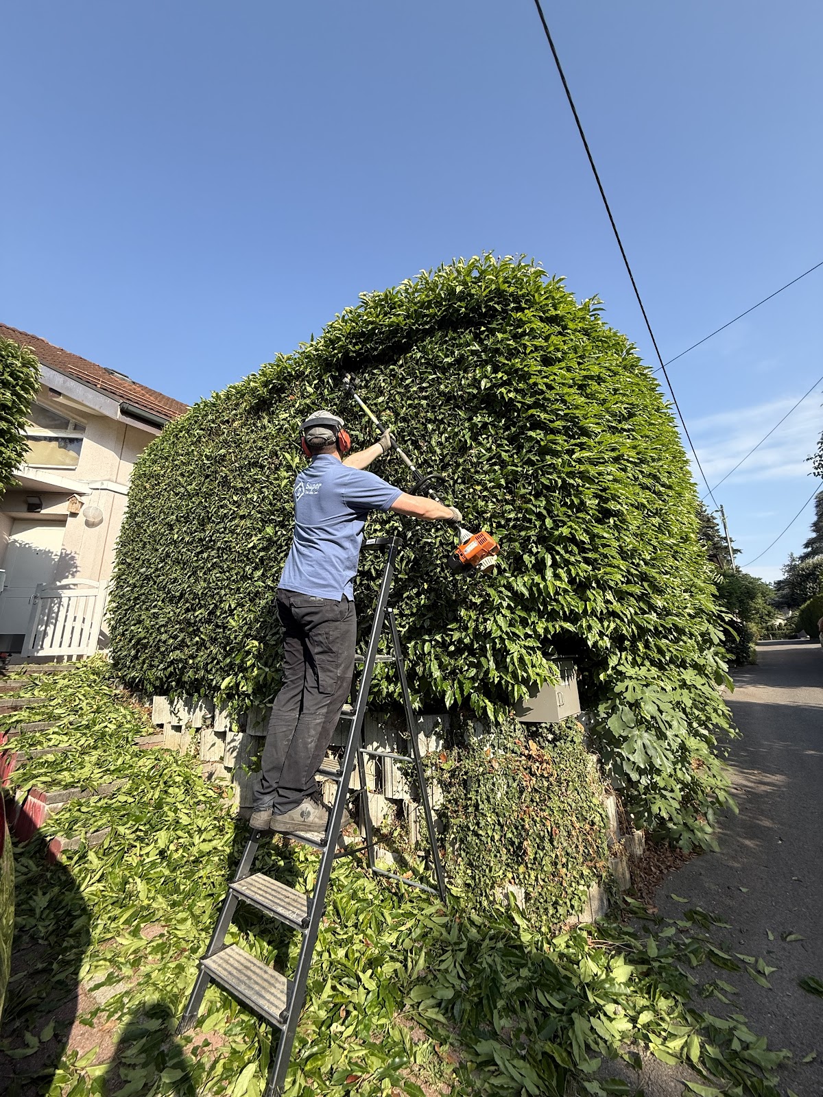 SuperServices Sàrl - Déménagement - Stockage - Nettoyage - Jardinage – Umzugsfirma Bernex – Foto 1