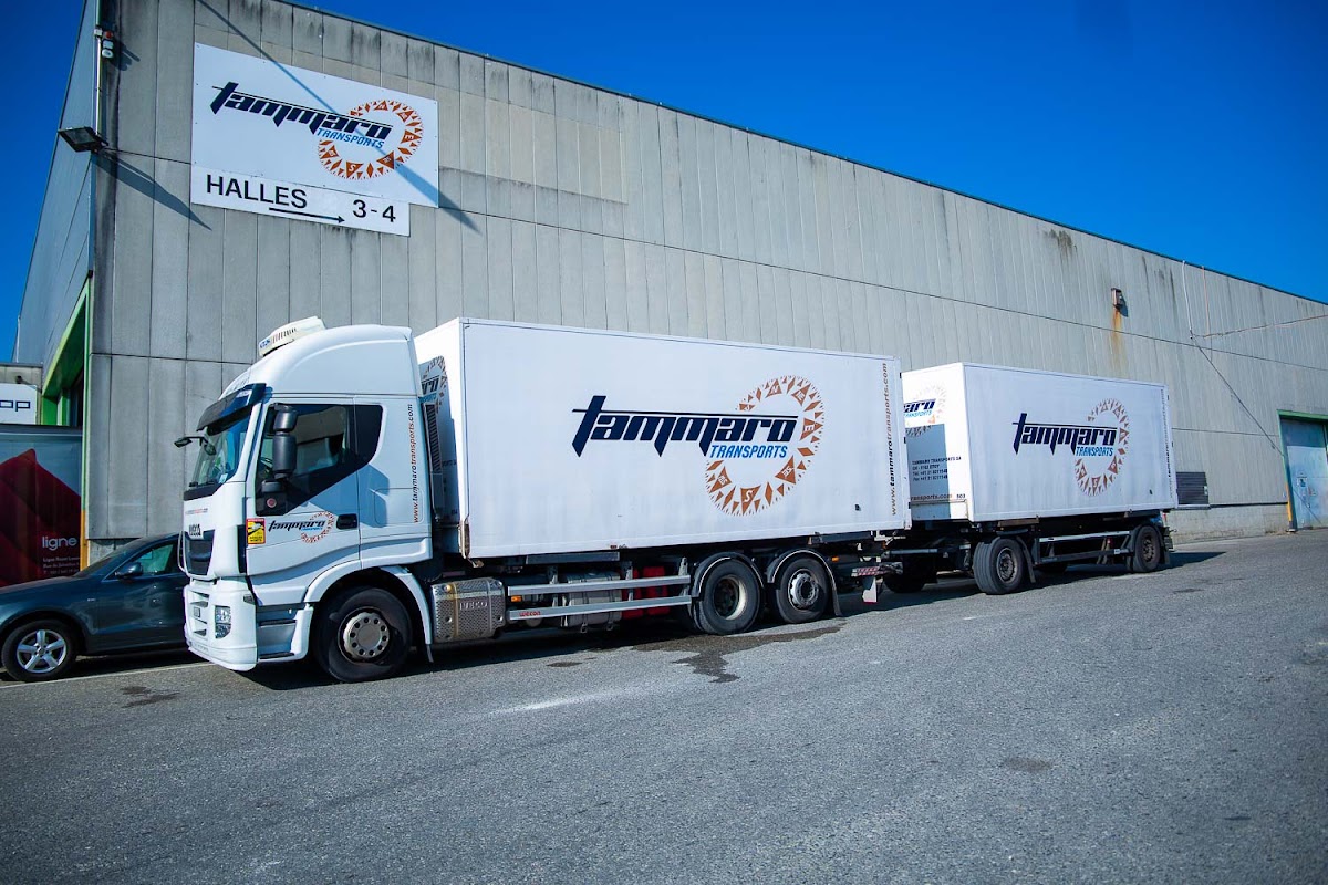 Tammaro Transports Sa – Umzugsfirma Tolochenaz – Foto 1