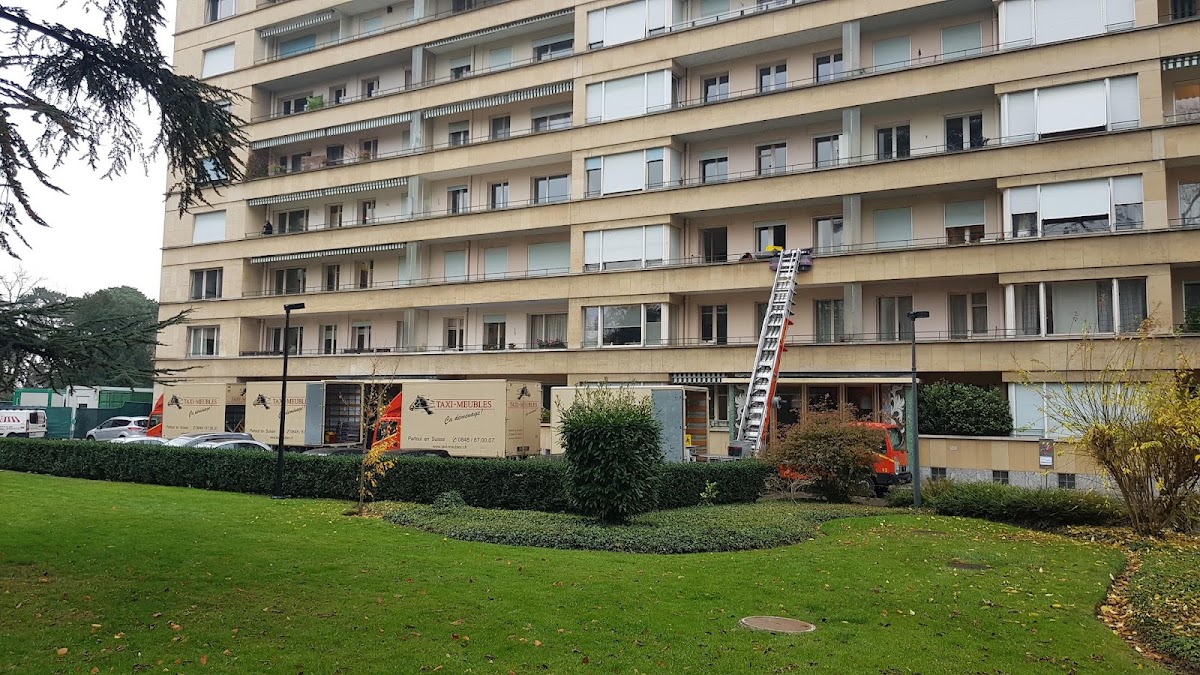 Taxi-Meubles SA Titelbild
