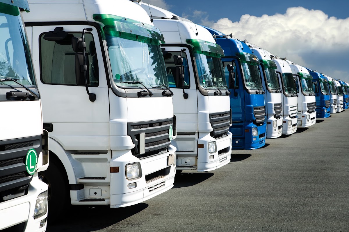 Umzugsfirma Singen - TipTop Move - Umzüge & Transporte – Umzugsfirma Singen (Hohentwiel) – Foto 1