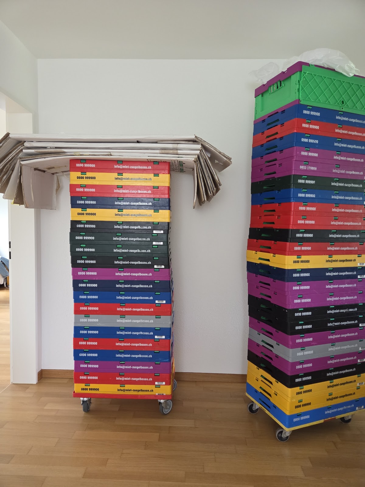 Umzugslöwen GmbH – Umzugsfirma Zürich – Foto 1