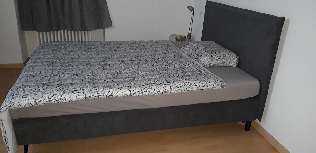 Urs Kuster Umzüge GmbH – Umzugsfirma Diepoldsau – Foto 2